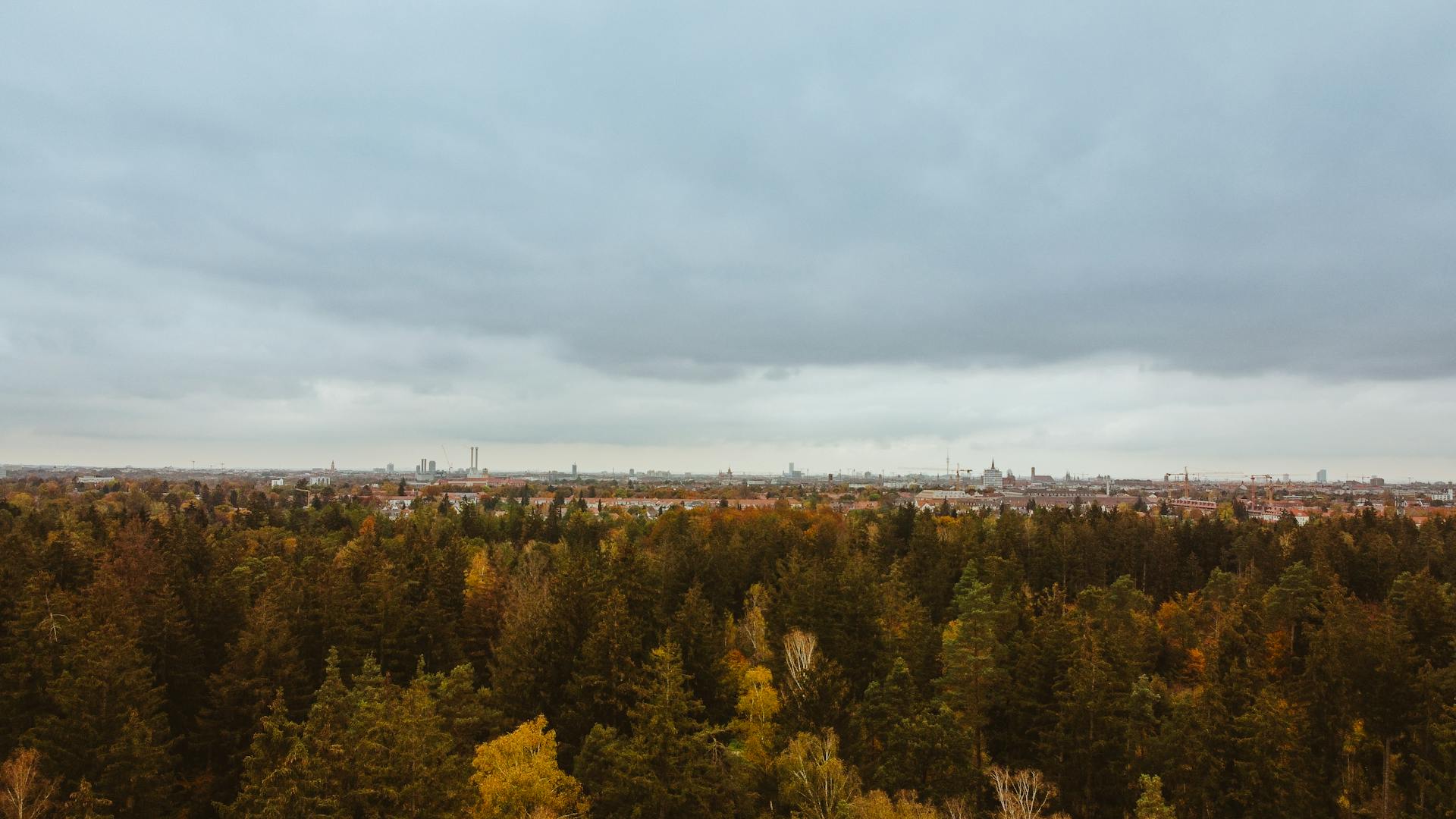 Python Schulungen Rosenheim